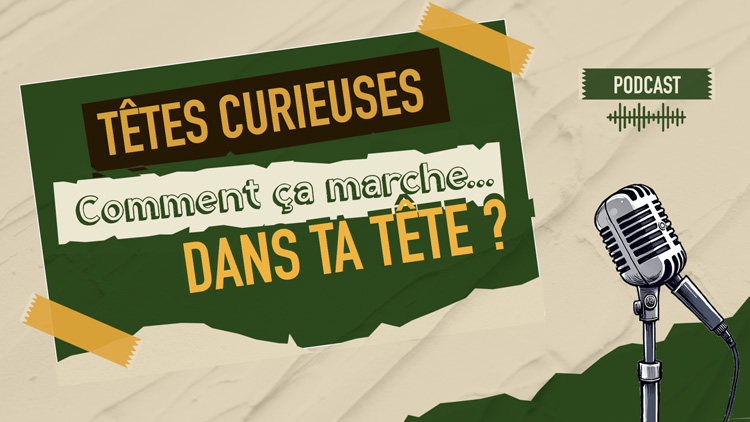 podcast tetes curieuses